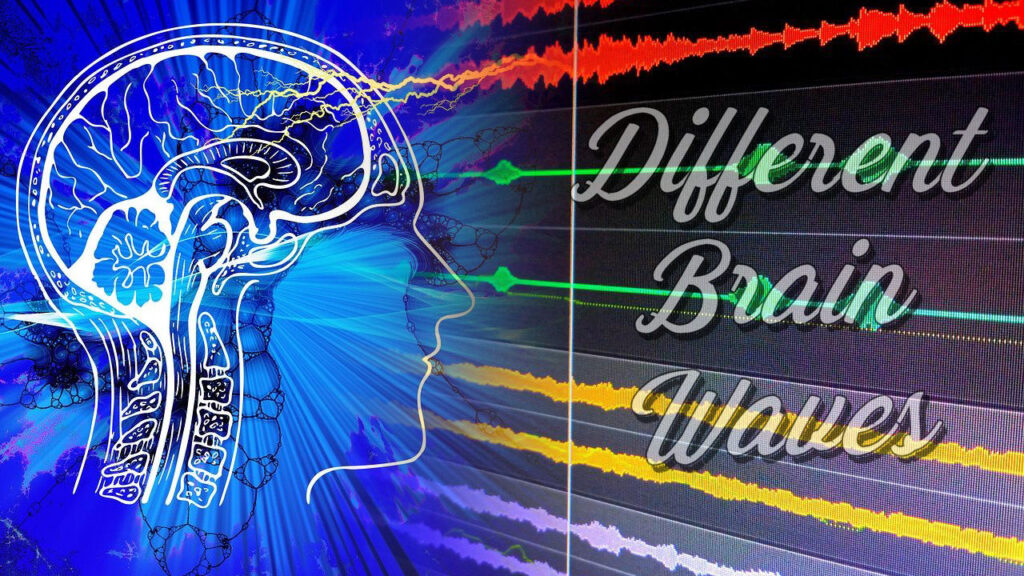 Different Brain Waves