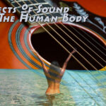 Effects Of Sound On The Human Body